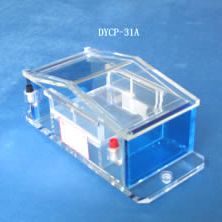 北京六一DYCP-31A型琼脂糖水平电泳仪(微型)