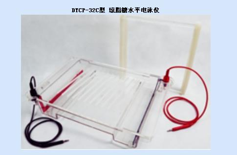 北京六一DYCP-32C型琼脂糖水平电泳仪(大号)